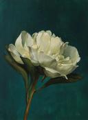  Hamilton Gallery Perry, Rae - 'Peony'