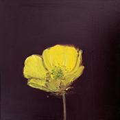  Hamilton Gallery Maahs, Kaye - 'All in Yellow'