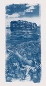  Hamilton Gallery Martin, Rachel - 'Teeming with Life' Edition of 5 Framed