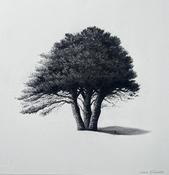  Hamilton Gallery O'Farrell, Sorca - 'Rang out clear and true'