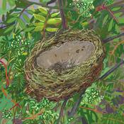  Hamilton Gallery Rooney, Clifton - 'Empty Nest'