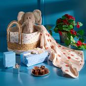 Newbridge Lullaby Baby Hamper image