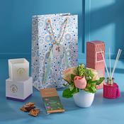 Soothing Sanctuary Gift