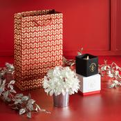 The Festive Christmas Table Gift
