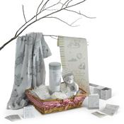 Sweet Memories Baby Gift