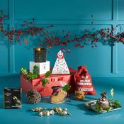 Merry Christmas Gift Box