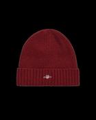 Shield Wool Beanie