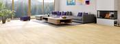 Dominican Oak 12mm