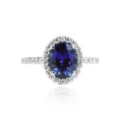18ct White Gold Oval Tanzanite &amp; Diamond Montana Castel Pave Ring image