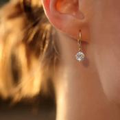 Briar Earrings Gold Vermeil