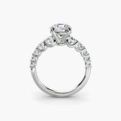 The Graduated Accent Ring image