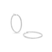 Silver Carat London Paloma Hoop Earrings CE925W-PALO image