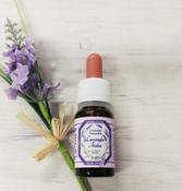 Lavender Essence Fragrance Oil, Lavanda Italia image