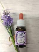 Lavender and Rose Essence Fragrance Oil image