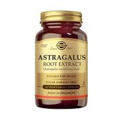 Solgar Astragalus Root Extract 60 Vegetable Capsules image