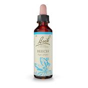Bach Flower Beech Remedy 20ml