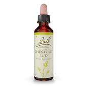 Bach Flower Chestnut Bud Remedy 20ml