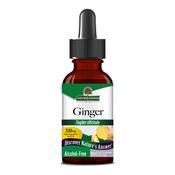 Natures Answer Ginger 30ml image