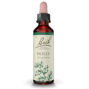 Bach Flower Holly Remedy 20ml image