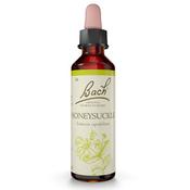 Bach Flower Honeysuckle Remedy 20ml