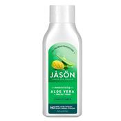 Jason Aloe Vera &amp;amp; Prickly Pear Conditioner 454g image