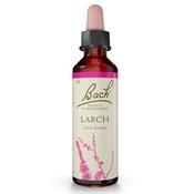 Bach Flower Larch Remedy 20ml