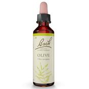 Bach Flower Olive Remedy 20ml