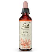 Bach Flower Red Chestnut Remedy 20ml image