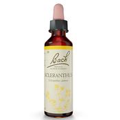 Bach Flower Scleranthus Remedy 20ml