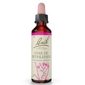 Bach Flower Star of Bethlehem Remedy 20ml image