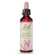 Bach Flower Sweet Chestnut Remedy 20ml image