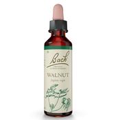 Bach Flower Walnut Remedy 20ml