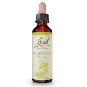Bach Flower Wild Rose Remedy 20ml image