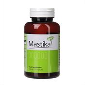 Mastika Mastic Gum 500mg 60 Capsules image