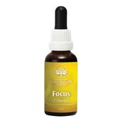Australian Bush Focus Essence 30ml
