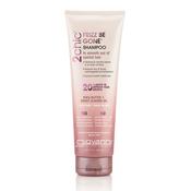 Giovanni Frizz Be Gone Shampoo 250ml image