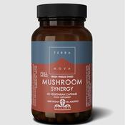 Terra Nova Mushroom Synergy 50 Capsules