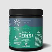 Terra Nova Green Child Sneaky Greens Shake 180g Powder