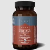Terra Nova Digestive Enzymes With Probiotics 100 Capsules image