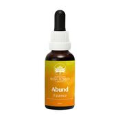 Australian Bush Abund Essence 30ml image