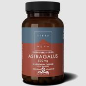 Terra Nova Astragalus 500mg 100 Capsules image