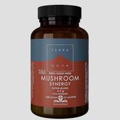 Terra Nova Mushroom Synergy 40g Powder