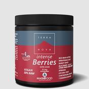Terra Nova Intense Berries Super Shake 224g Powder image