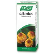 A.Vogel Spilanthes 50ml