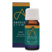 Absolute Aromas Pine Essential Oil 10ml image