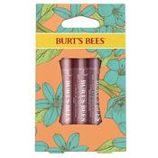 Burts Bees Petal Kisses Gift Set image