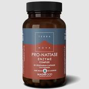 Terra Nova Pro-Nattase Enzyme Complex 50 Capsules image