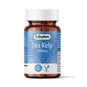 Lifeplan Sea Kelp 400mg 60 Tablets image