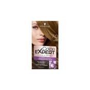 Schwarzkopf Colour Expert hair colour Dark Blonde 7-0