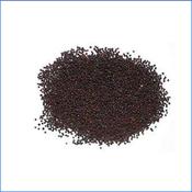 Broccoli Seeds Organic 250g RAW for sprouting image